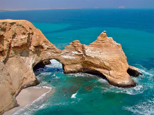 Tour Paracas desde Lima